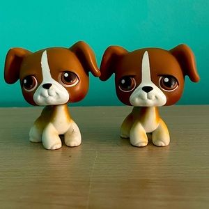 Littlest pet shop boxer